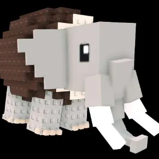 Cocofanto Elefanto
