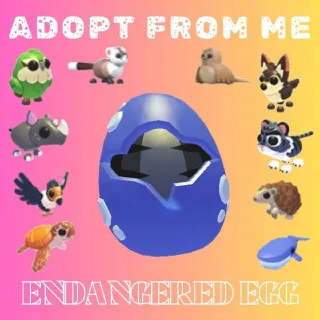 x100 Endangered Egg