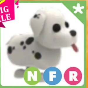 NFR Dalmatian