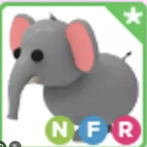 NFR elephant