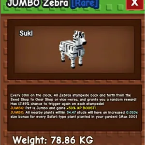 JUMBO ZEBRA - FOR SALE