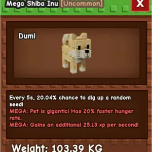 TITANIC SHIBA INU 4SALE