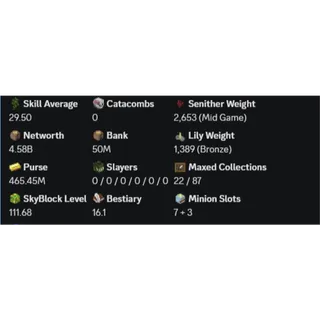 Hypixel Skyblock MINING ACCOUNT | VIP RANK | NETWORTH 4B ALL UNSOULBOUND | HOTM 10 | SB LVL 111
