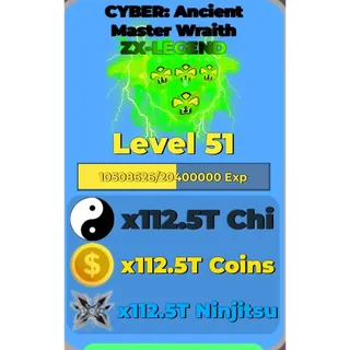 Ninja Legends: Cyber Master Wraith