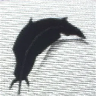 Slimingo Feather