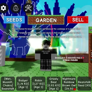 3 15SEC RAINBOW PEACOCKS