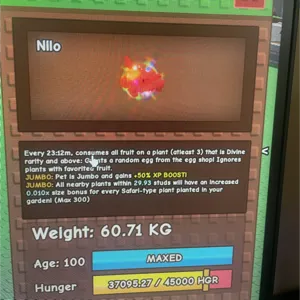 RAINBOW BEARDED DRAGON