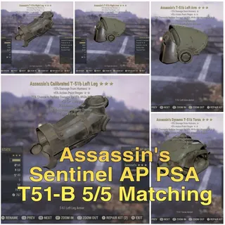 PSA T51B