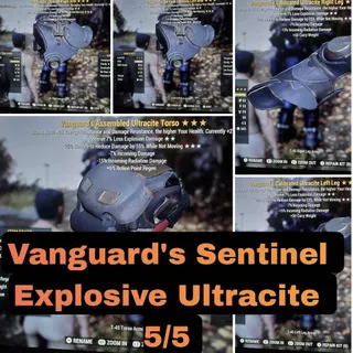Vanguard Explosive Sentinel