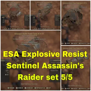 ESA Raider