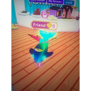 Mfr glormy dolphin
