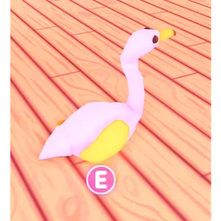 NFR FLAMINGO