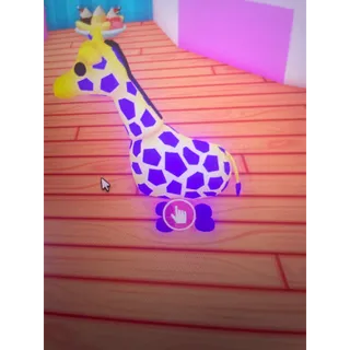 MFR Giraffe