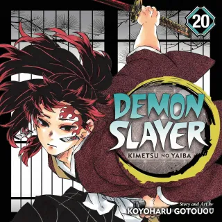 Demon Slayer - Kimetsu No Yaiba Volume 20 - PDF Room