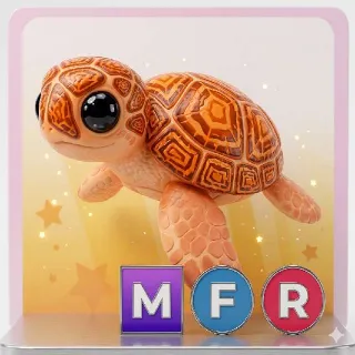 MFR Sea Turtle