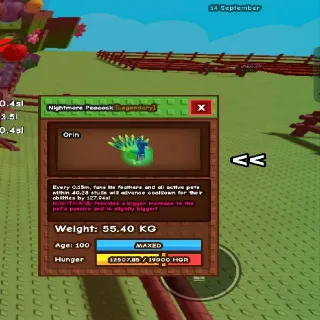 Huge Peacock 15 Sec Cd