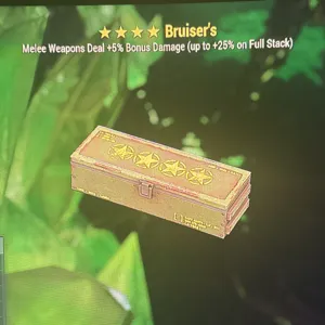 Bruisers Mod