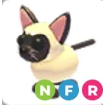 nfr siamese cat