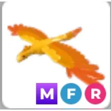 mfr phoenix