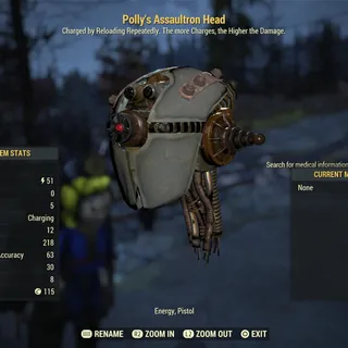 Polly’s Assaultron Head