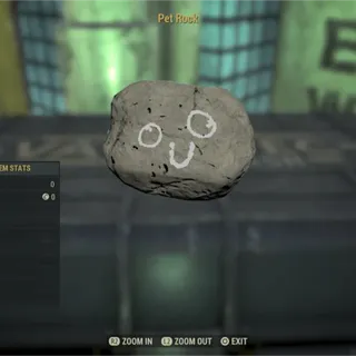 Pet Rock Misc