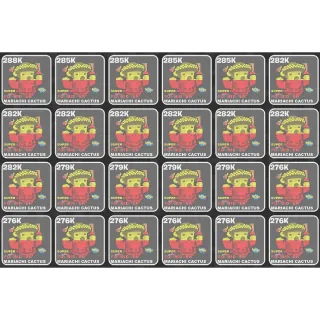 x24 Superhero Cactus Fortnite vs Brainrots