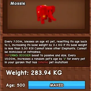 6.1 base rbh elephant