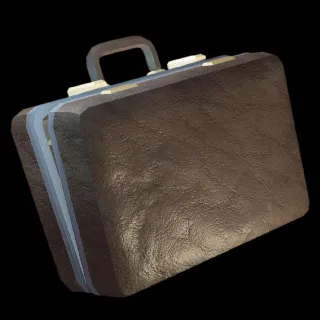 Briefcase (Doors)