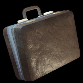 Briefcase (DOORS)
