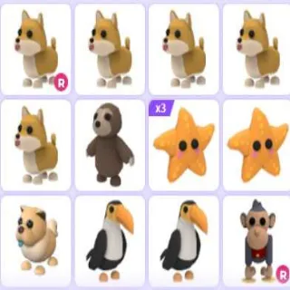 Adopt Me Bundle - X14 Pets