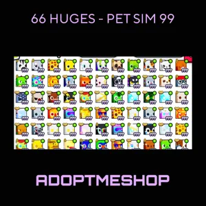 66 HUGES 12m-990M RAP