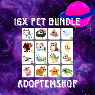 16X PET BUNDLE