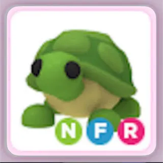 NFR TURTLE