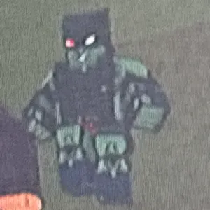 Bridger western zombieTW