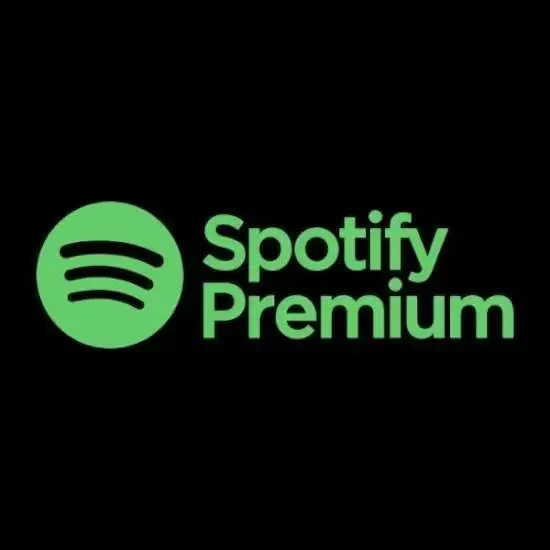 3 months spotify premium instant other gameflip