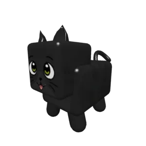 Black Cat