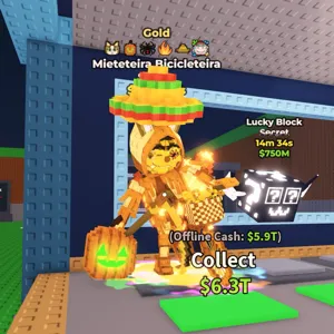 MEOWL Mieteteira Bike 🔥