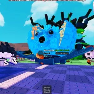 13.9KG HUGE KING LIMONE