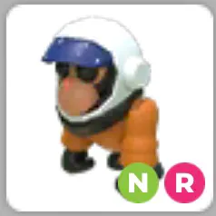 NR Astronaut Gorilla