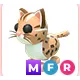 MFR LEOPARD CAT