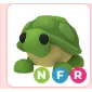 nfr turtle