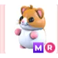 MR HAMSTER