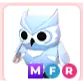 mfr snow owl