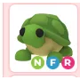 nfr turtle