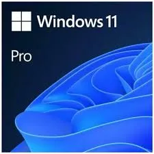 Windows 11 pro