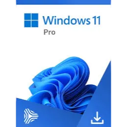 Windows 11 pro