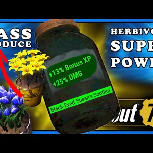 Black Eye Soothing Susan