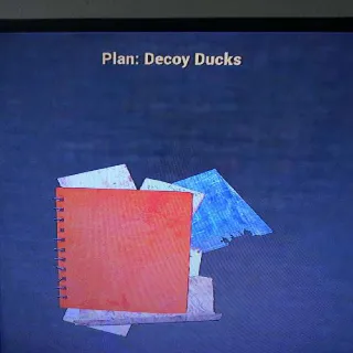 Decoy Ducks