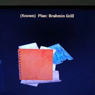 Brahmin Grill