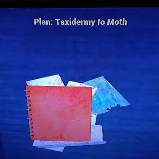 Taxidermy Io Moth